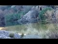 Salt River | Bulldog Cliffs
