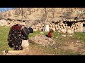 Performing daily tasks of Iranian nomadic women and children