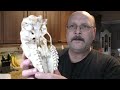 Skull Bleaching. How to Clean a Dirty skull, no chemicals!