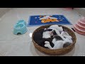 Cute Baby Animals Videos Compilation | 🐇😹 Funny and Cute Moment of the Animals #03