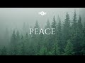 PEACE - Soaking worship instrumental | Prayer and Devotional