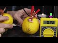 Lemon Battery 🍋🔋 Explained ⚡ with Pickle Salt Bridge!