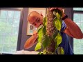 How to get BIG leaves on YOUR philodendron & pothos house plants | Chop & Drop Method