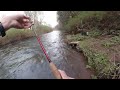 River Usk, Wales - It's Grannom Time! Dry Fly Fishing For Brown Trout