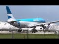 Aerolineas Argentinas A330-202 landing at MIA's runway 9 (Argentina Livery) (LV-KAO)