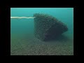 Exploring The Saint Lawrence River Shipwrecks - The Angler's Point Wreck