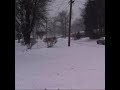 CREEPY! Siren Ambiance During Snowstorm #shorts