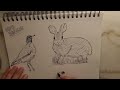 ASMR Sketching Animals and Rambling🐦‍⬛🐇🐸 | Whispering and Drawing Sounds