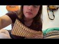 Family guy on Panflute