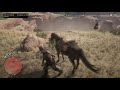 RDR2 Online Beta Horse Fails