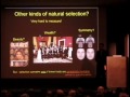 Human Evolution 150 Years After Darwin, Dr. Dan Lieberman