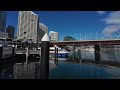 Pyrmont - Darling Harbour Walking Tour - Sydney Australia June 2024