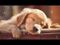 12 HOURS of Dog Calming Music For Dogs🎵💖Anti Separation Anxiety Relief Music🐶🎵Sleep dog🎵