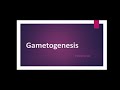 How does Sperm and Ovum develop |Gametogenesis | IN HINDI