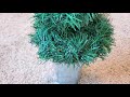 20 Dollar Tree DIY Christmas Decorations & Ideas 🎄