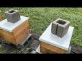 Rain Kills The Flow - (Building a Bee Business Vlog #48)