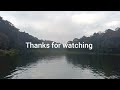 Boating through the forest/Periyar lake/Thekkady/Kerala India