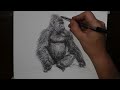 Amazing Gorilla Scribble Art Drawing with a Biro Pen