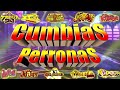 ⚡MIX CUMBIAS PERRONAS SONIDERAS PARA BAILAR✨MIX GRUPO QUINTANA,NOVA,TEPOZ,FANIA97,LOS JUNIORS Y MÁS🌠