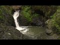 Cascade Falls | Marin County | California waterfalls