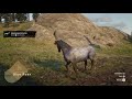 Red Dead Redemption 2 All Horses /All Horse Breeds Showcase