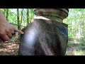 Forgotten Cemetery, Forgotten Community (172 Year Old Cemetery In The Woods)