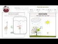 Photosynthesis (NYS Biology Regent Exam Review)