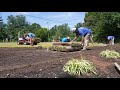 How To Lay Sod