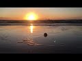 Crosby beach 17/1/20