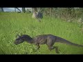 CONCAVENATOR & CRYOLOPHOSAURUS PADDOCKS-SHORTS