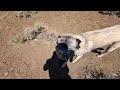 Romping through the hills of Fernley NV, stock friendly trail ride.