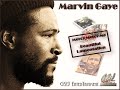 Marvin Gaye - Mercy Mercy Me (The Ecology) [ Beautiful lament of Marvin Gaye (Remix) ]