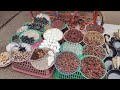 Trimbakeswar Jyotirlinga🙏full video details in telugu | త్రయంబకేశ్వర | Godavari Birth Place | Nashik