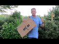 The TRUTH About Using Cardboard in your Landscape