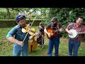 The Hillbilly Gypsies Bluegrass in 4k UHD (now called Hillbilly Biscuits)