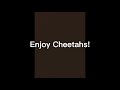 Intro for marshmallow the cheetah (bad editing)