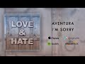 Aventura - I'm Sorry