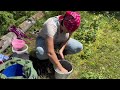 Survival in the wild: picking forest blueberry berries