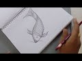 drawing a fish with pencil