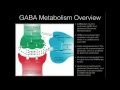 L-Theanine and GABA Supplementation