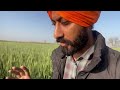 ਮੇਰਾ ਪਿਂਡ ਮੇਰੇ ਖੇਤ my village near india Pakistan border