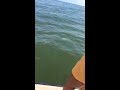 Galveston Bay Fishing