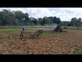 membajak sawah pakai traktor sawah .mesin (Quik).vlog madura