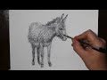 How to Draw a Little Donkey Like a Master of Art
