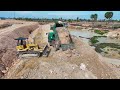 Starting New Project Landfill By Skill Bulldozer Caterpillar 3 Pushing Soil & 5Ton Truck Dumping