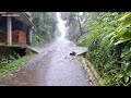 Super Heavy Rain in My Cold Village | very cold | Sleep instantly with the sound of heavy rain