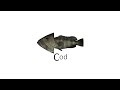 cod.mp4