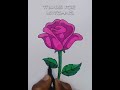 Drawing Of Rose'....by colour sketch pen.../ Please like and subscribe ❤️🙏