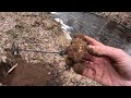 Monster Gold Nugget found Metal Detecting! Alaska.