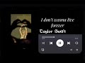 Taylor Swift playlist